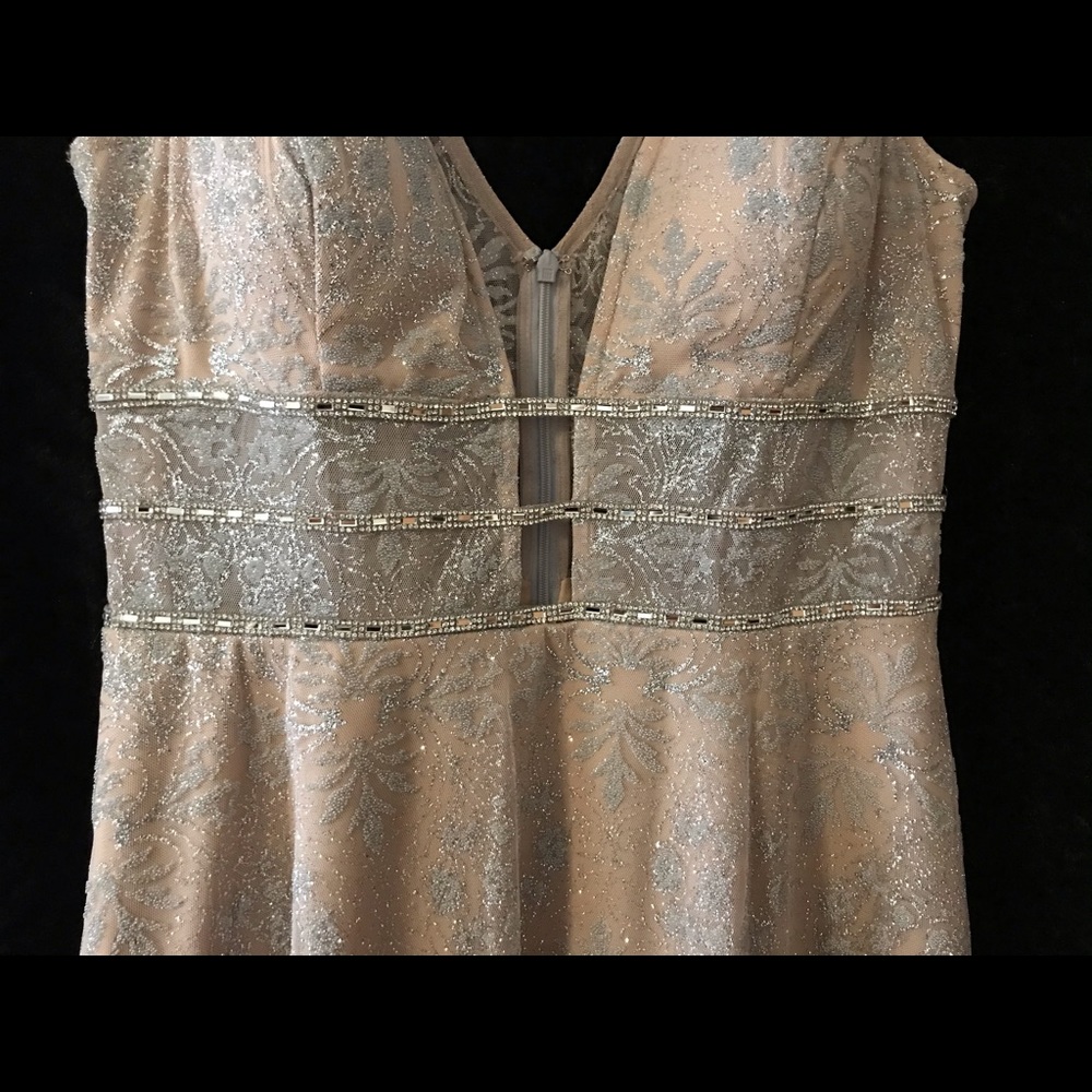 Gianni Bini Champagne Sparkle Dress